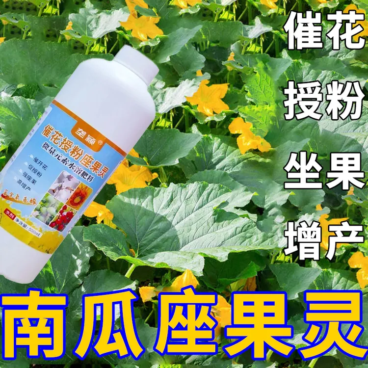南瓜催花座果灵控旺促花增产农用水溶叶面肥料生根催芽防畸形落果