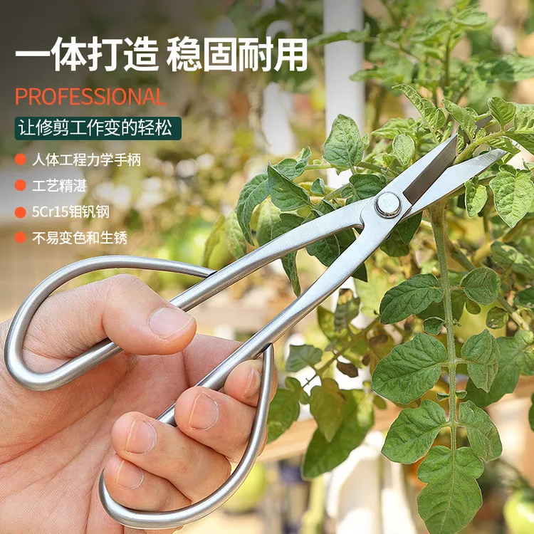 全不锈钢盆景盆栽剪刀园艺家用枝芽花艺剪子尖头叶芽剪专用专业级