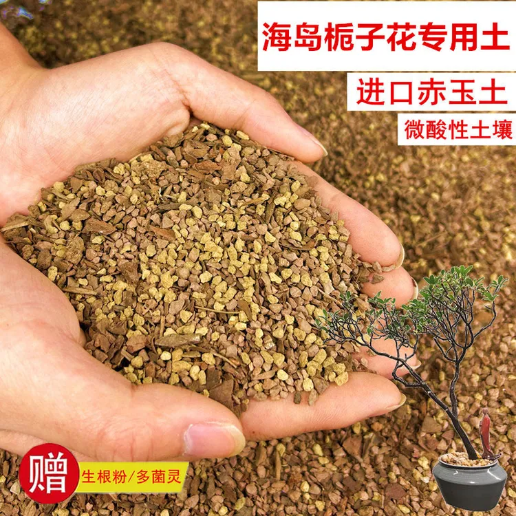 海岛栀子花植物颗粒土透气赤玉土风化土营养土盆景土绿植种植土
