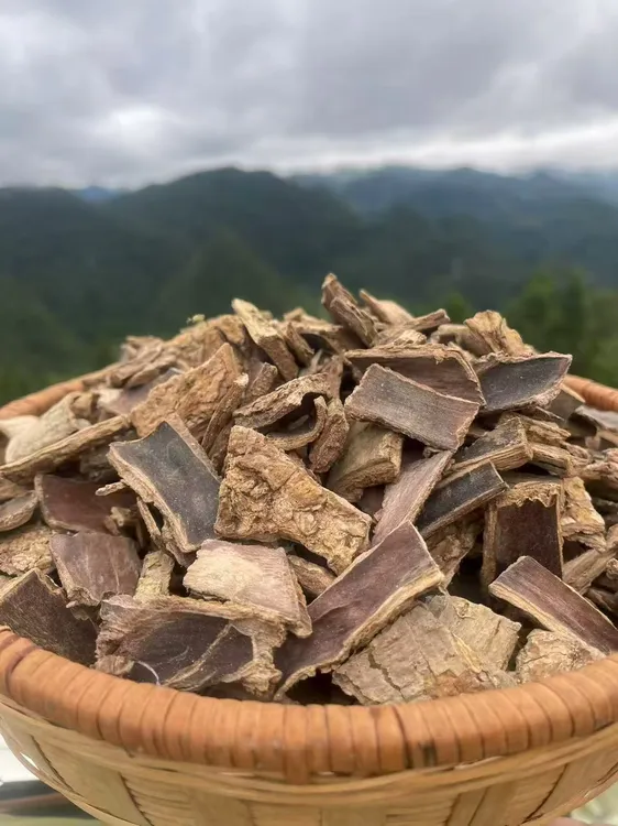 贵州高山野生老杜仲【活动翻倍】