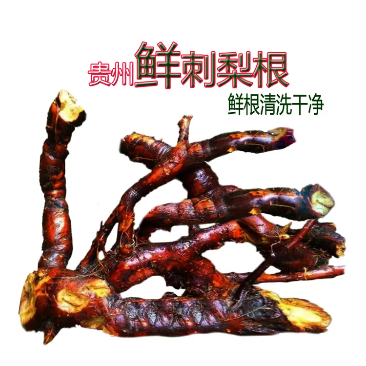 正品刺梨根当季新货深山道地野生茨梨根鲜根贵州刺梨根