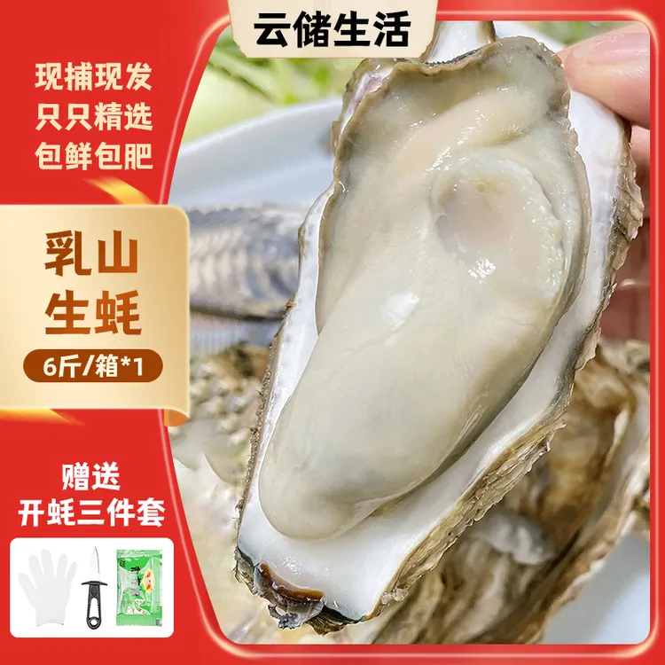 【乳山生蚝】鲜活乳山牡蛎3-4两/只 6斤/箱 新鲜海蛎子产地直发