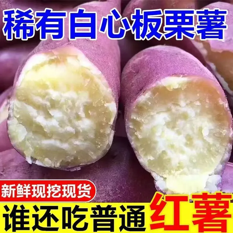 湖北恩施板栗白心红薯软糯香甜红皮白心富硒红薯五斤农家包邮