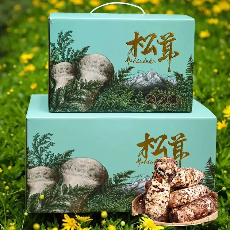 中秋礼盒鲜松茸菌菇礼盒不开伞云南香格里拉特产送礼佳品佳节送礼