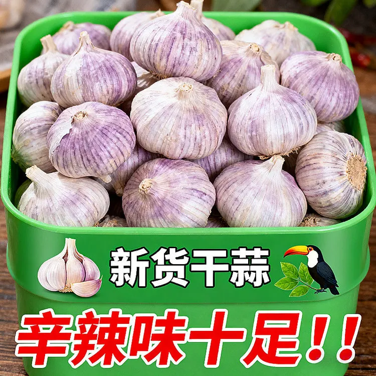 【坏果包赔】干大蒜新鲜全干紫白皮大蒜头款产地直发