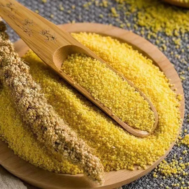农家种植黄小米颗粒饱满米香纯正5斤