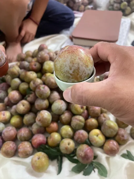 正宗诏安红心双华李新鲜现摘酸脆爽口暴汁