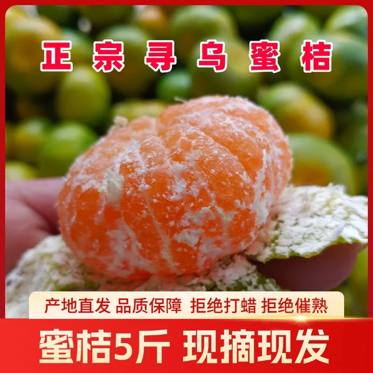 江西寻乌蜜桔现摘青皮无籽酸甜多汁蜜橘应季柑橘新鲜水果产地直发