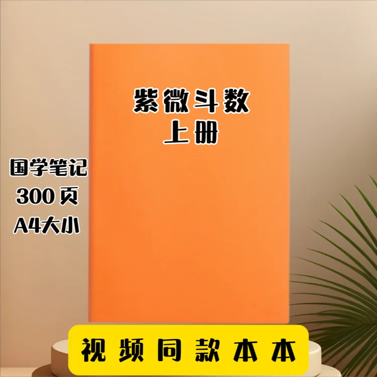 【紫微斗数】视频同款南北派笔记