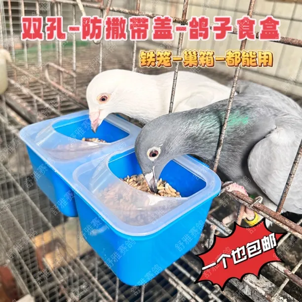 信鸽鸽子食盒 防撒 双孔带盖 挂钩食槽 赛鸽喂食槽 喂食器 防扒拉