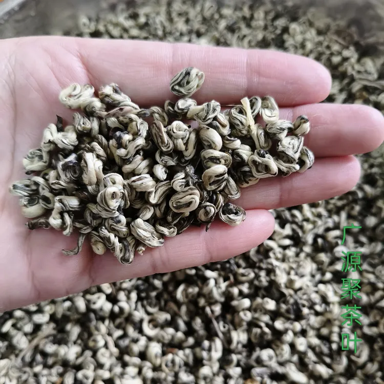茉莉玉螺王茉莉花茶 茉莉白雪浓香 冷泡佳品