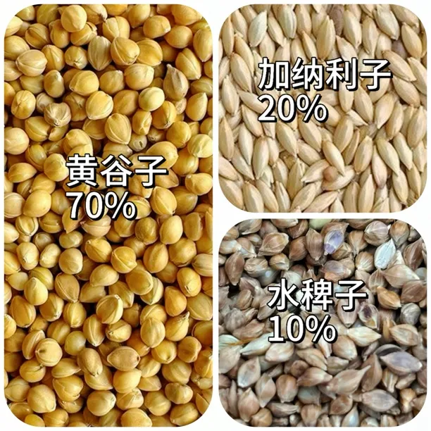 虎皮鹦鹉珍珠文鸟小型鸟通用鸟粮谷子鹦鹉专用饲料谷物草籽批发
