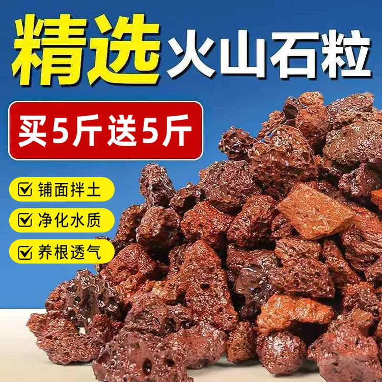 【买5斤送5斤】天然火山石颗粒用于金弹子老鸦柿拌土铺面及鱼缸垫底商品图