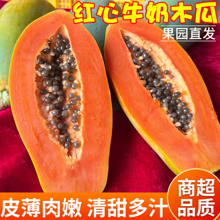 【树上熟 冰糖心木瓜】海南红心木瓜细腻软糯香甜新鲜皮薄果园清香