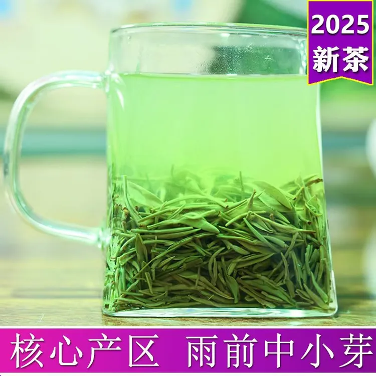 雨前福利款正宗雨前茶2025新茶高山春茶绿茶信阳毛尖新茶茶叶