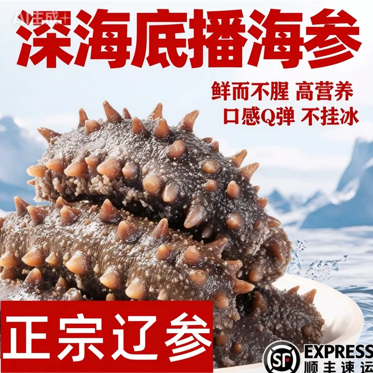 大连深海即食辽参大海参4-6头和6-8头独立真空包装高品质开袋即食