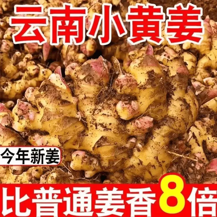 【中秋福利3斤装】云南小黄姜嫩姜仔姜红芽姜新鲜现挖姜味十足