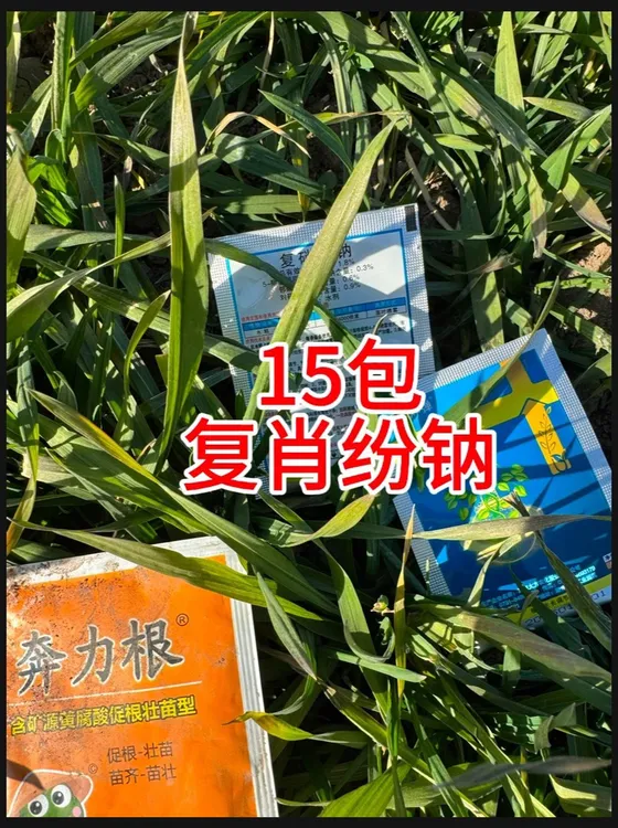美沣复肖粉钠含量1.8%调节作物生长发育提高肥料吸收可搭配奔力根