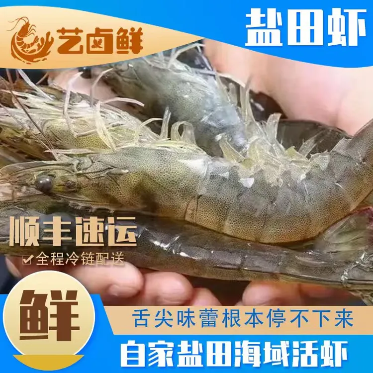 盐田虾【35-40只/斤】【天然生长】自家盐田活虾捕捞 活冻海虾