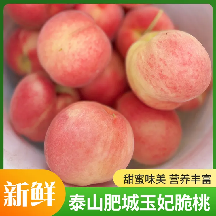 【顺丰包邮】正宗泰山肥城玉妃桃脆甜桃 每日现摘 商品果非二级果