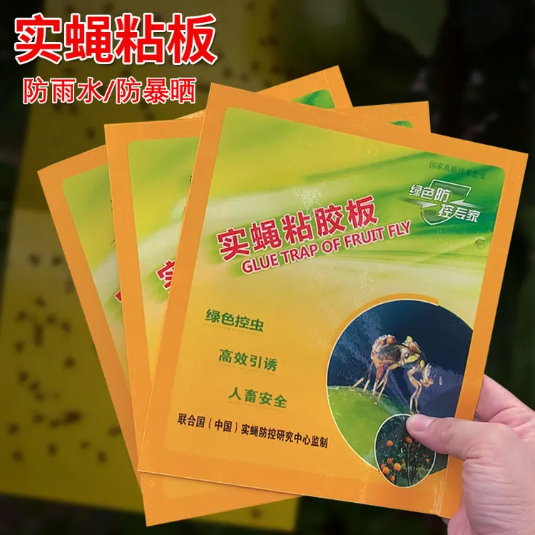 黄板双面粘虫板诱虫板瓜果实蝇针蜂贴粘胶板果蝇诱捕器引诱剂粘板
