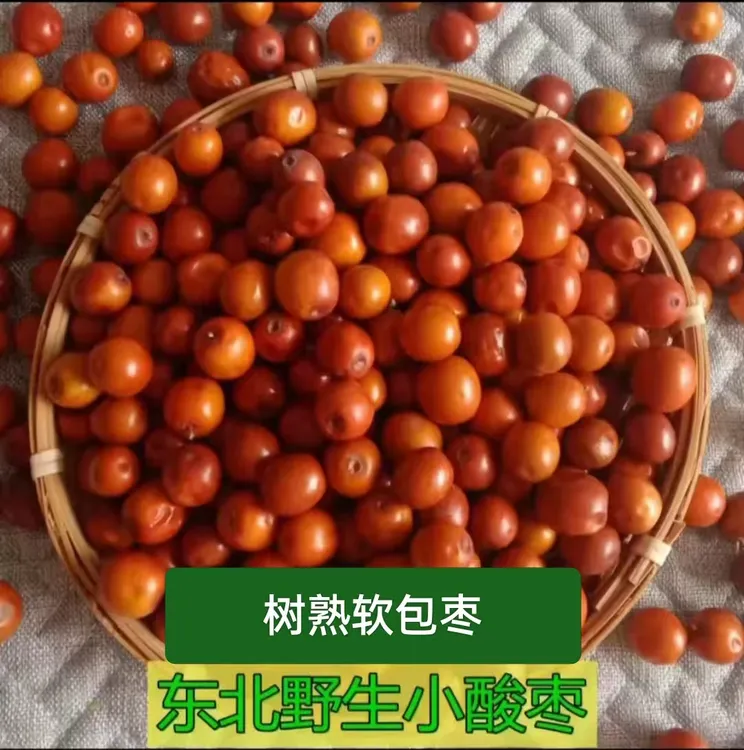 东北朝阳特产新鲜野生小酸枣核大孕妇零食原生态食品