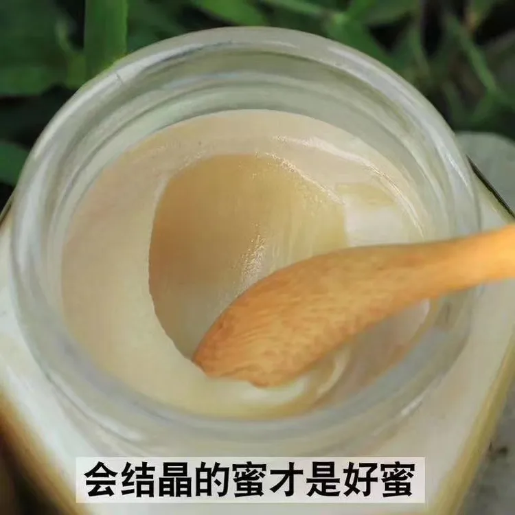 原汁原味雪蜜小黄芪花蒲公英花期成熟封盖500克*5瓶纯蜂蜜