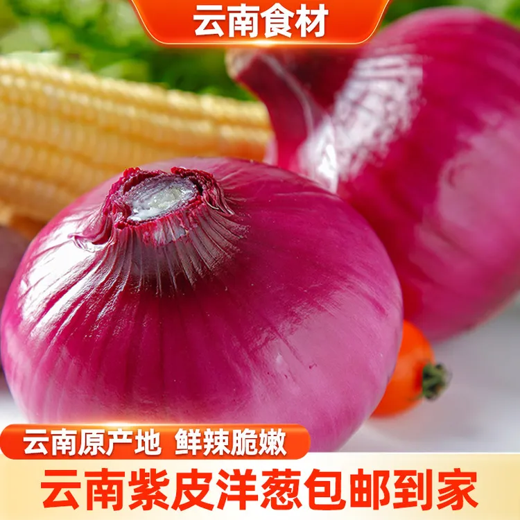 【头茬新葱】新鲜现挖云南紫皮洋葱生吃配料炒菜凉拌农家自种应季商品图