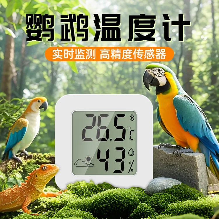 温度计鹦鹉乌龟爬宠养殖专用精准高精度室内电子迷你干温湿度计表