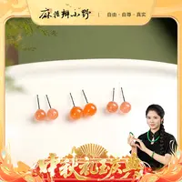 【中秋提前购】南红耳钉-多样性发1对1-1（9.27）