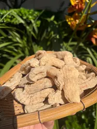 大山深处 农家天麻.