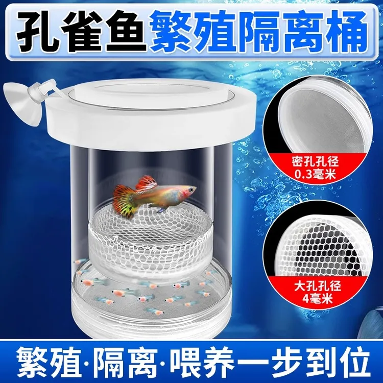 鱼缸隔离盒孔雀鱼繁殖盒凤尾斑马母鱼产房小鱼缸内胎生鱼产卵孵化