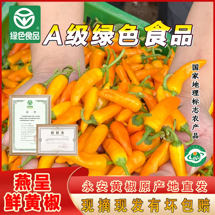 【拍多更划算】新鲜正宗永安黄椒特辣福鼎肉片超辣黄椒绿色食品认证