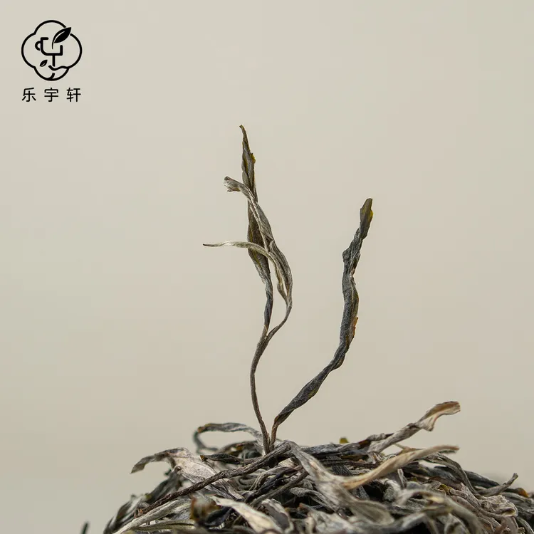 云南普洱生茶2025年藤条古树生普200克散装普洱生茶