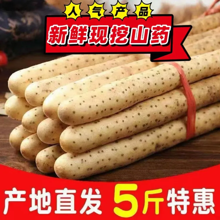新鲜正宗铁棍山药麻山药产地直发粉糯香甜营养价值高特色农产品
