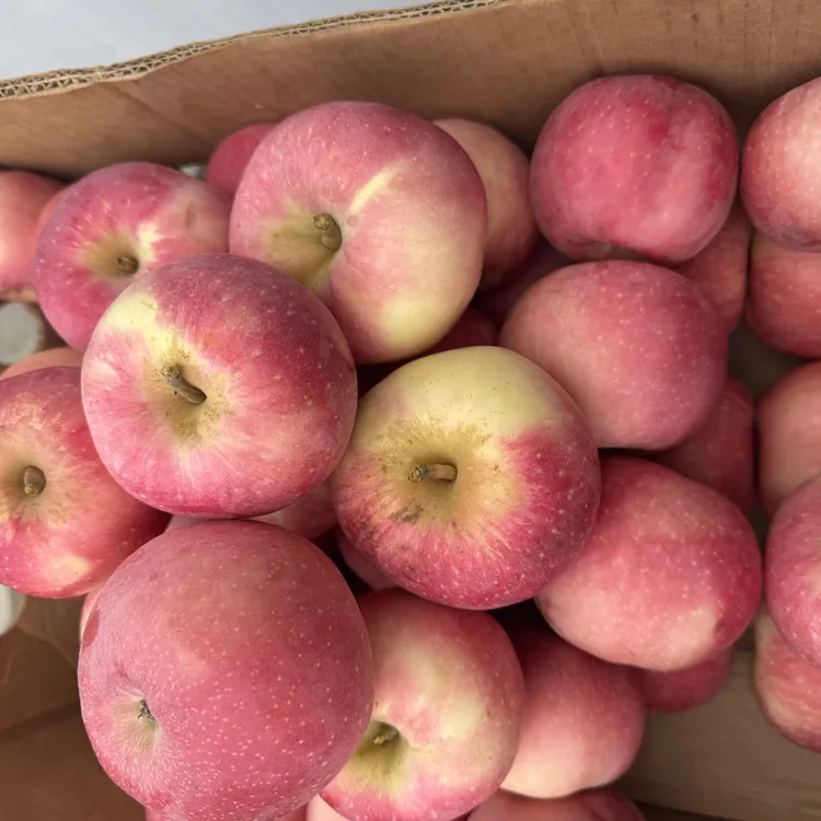 望乡红苹果香甜好吃，口感独特，顺丰包邮