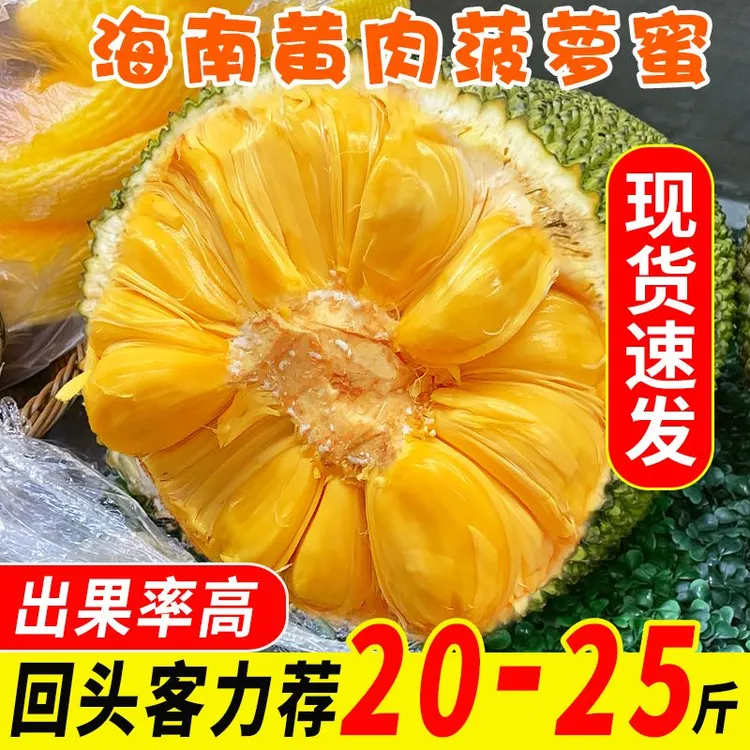 海南三亚黄肉干苞菠萝蜜新鲜水果一整个10-30斤热带水果包邮X