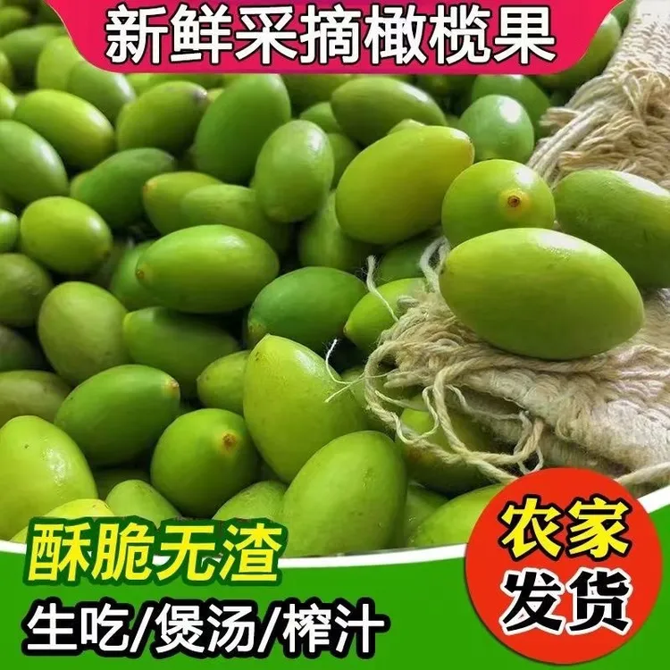 潮汕新鲜青枣脆橄榄清甜酥脆无渣 可生吃煲汤 榨汁 青果一斤装