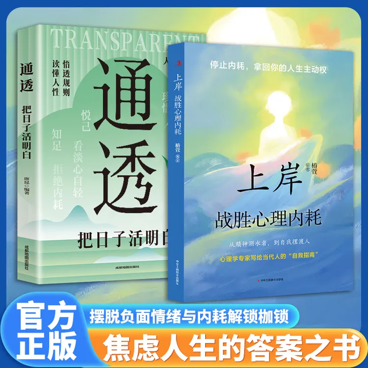 上岸战胜心理内耗 告别焦虑内耗 摆脱自卑高敏感 战胜自我书籍