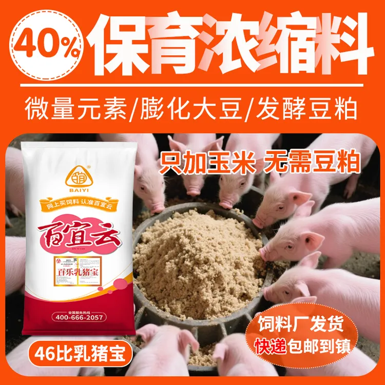 【视频专属】46比保育浓缩料百乐乳猪宝饲料猪用浓缩料鱼粉膨化大豆
