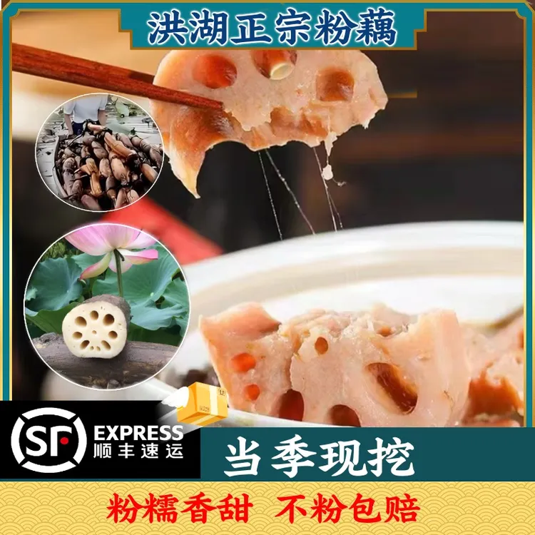 顺丰包邮洪湖粉藕带泥现挖煲汤莲藕湖北湖北正宗洪湖粉莲藕商品图