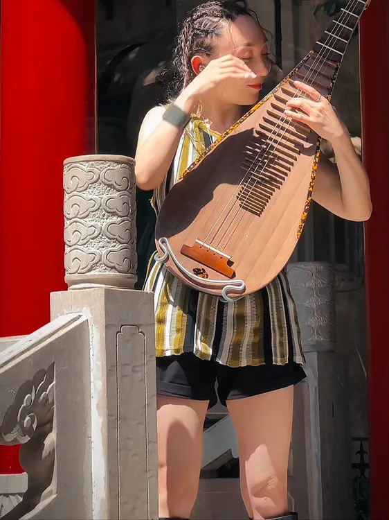 琵琶琴托琵琶站立演出琴托（无需背带）