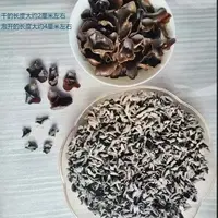 【拍五发六】黑木耳干货肉厚无根特产脆滑爽口高泡发
