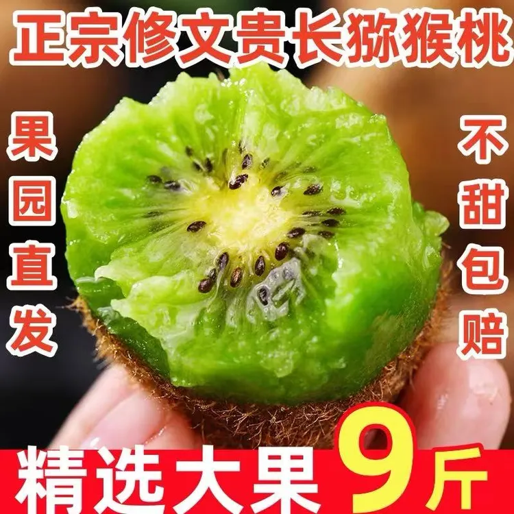 贵州修文县新鲜贵长猕猴桃现摘现发皮薄肉厚甜蜜多汁9斤10斤