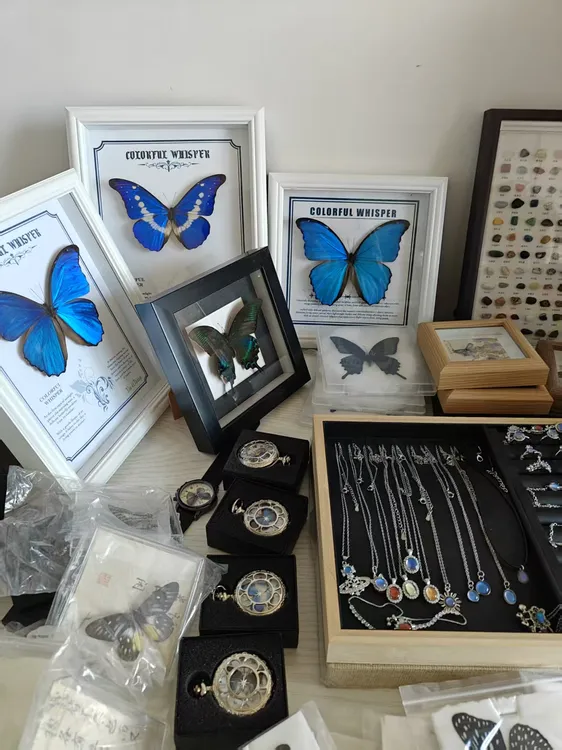 蝴蝶小蝴蝶福利不要随意拍