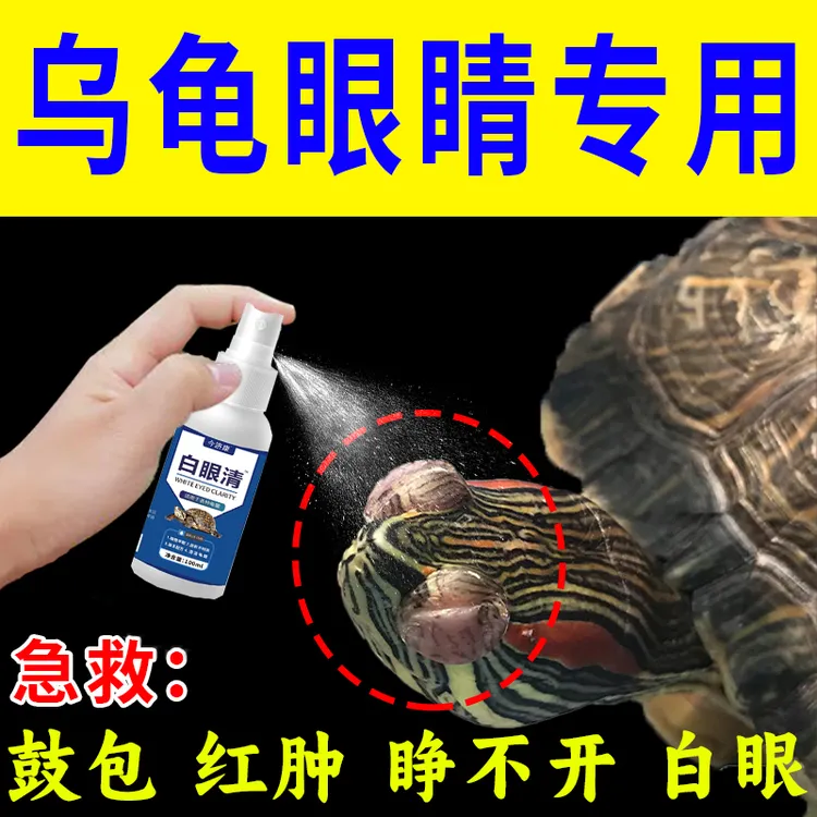 各种龟白眼蒙眼巴西草龟南石龟鼓包红肿小乌龟眼睛睁不开怎么办