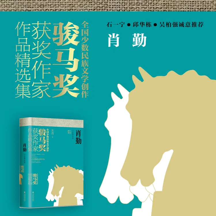 肖勤作品精选集 常规版
