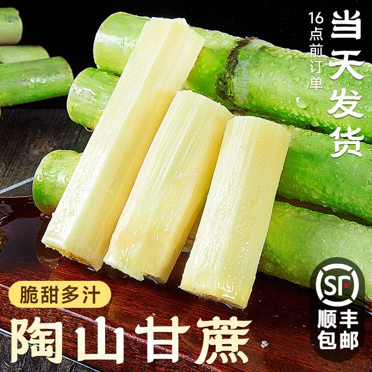 正宗陶山甘蔗5斤新鲜青皮绿皮甘蔗孕妇新鲜水果应季果蔗现砍脆甜