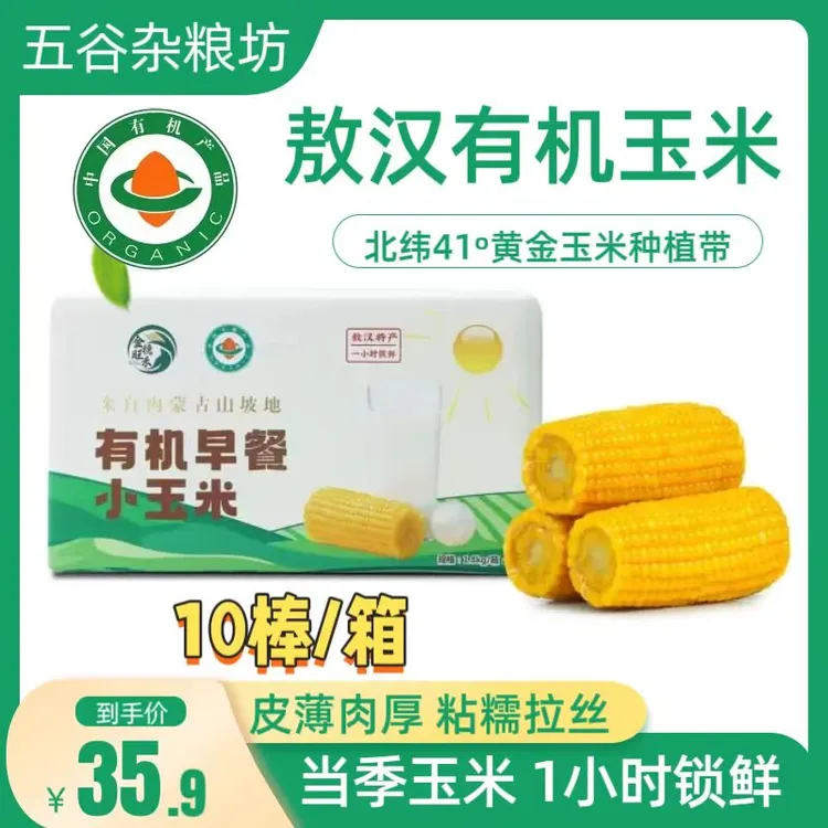 敖汉有机玉米无农残孕妇即食东北早餐低脂粗粮新鲜减脂非转基因