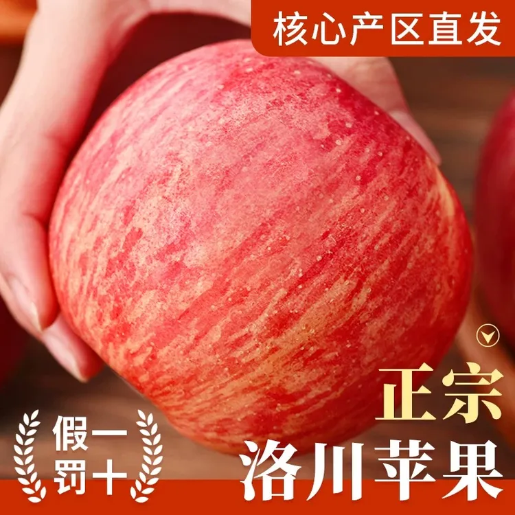 【产地直发包脆甜】正宗陕西洛川2025早熟红富士苹果整箱新鲜水果